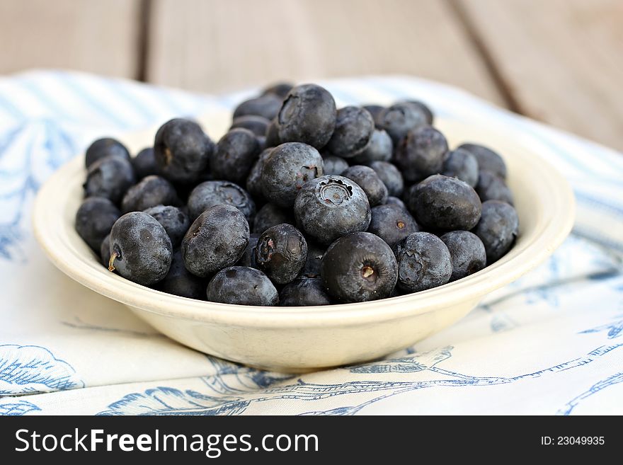 Bowl of Blueberries