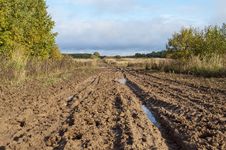 Dirt Road After The Rain Stock Photography