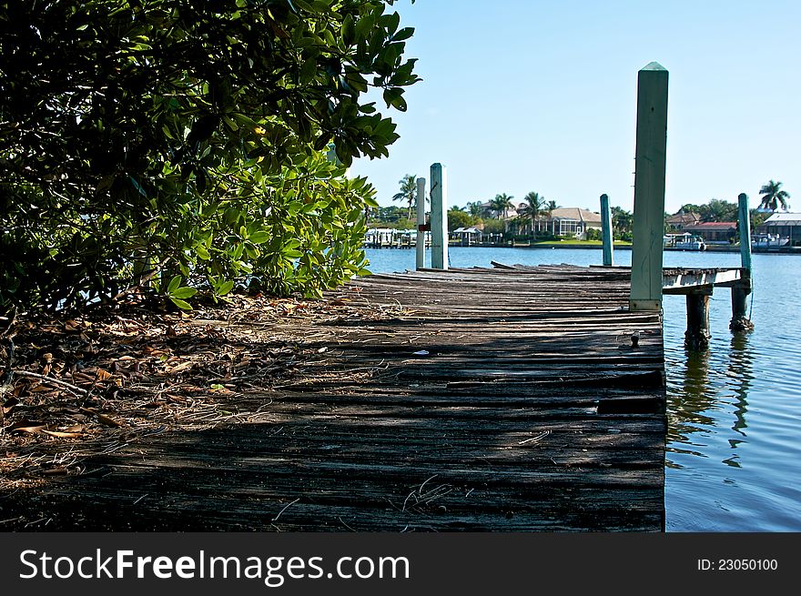 Old Wooden Pier With Over Grown Plants