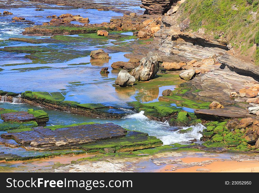 Green Algae On Rocky Ocean Shore