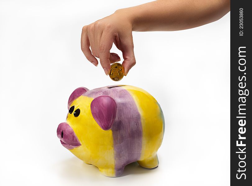 Savings in piggybank with gold coins