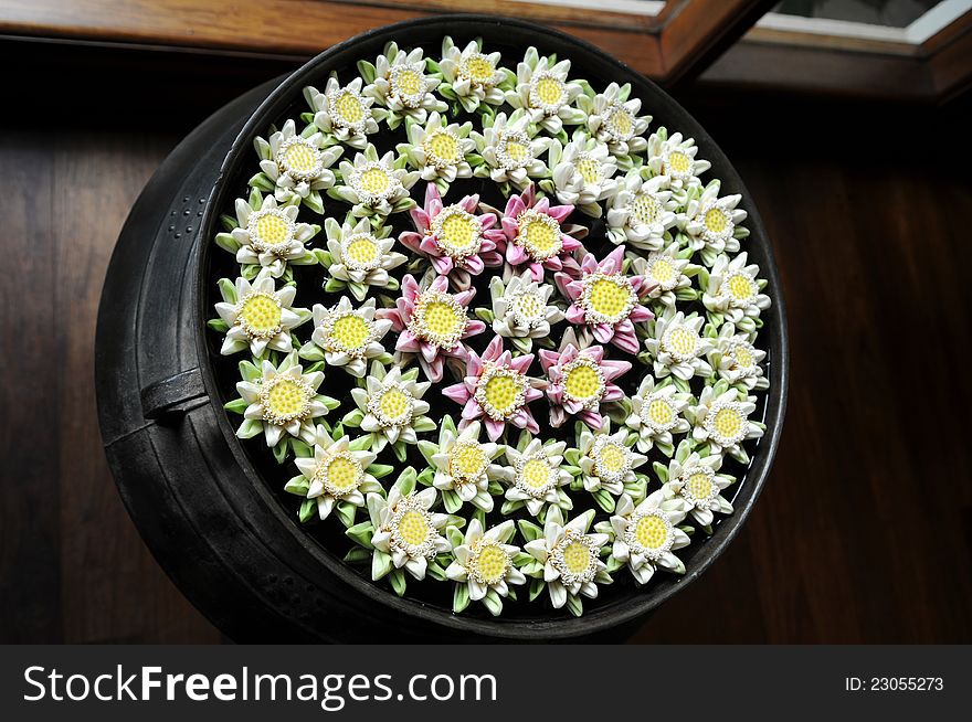 Lotus flowers in the bowl