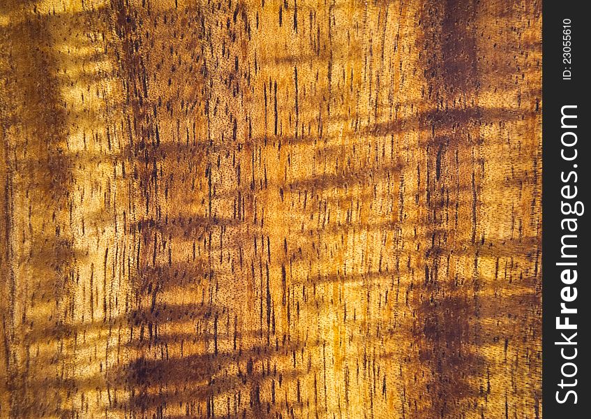 Background Of Wood Texture