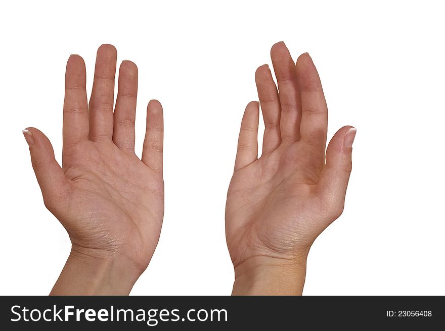 Woman's palm on white  bacground. Woman's palm on white  bacground.