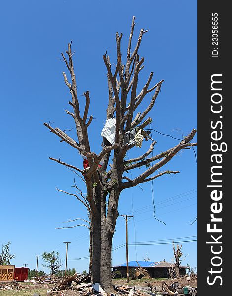 This tree stands testament to the horrific forces of the winds visited upon this landscape in the form of an EF5 tornado. This tree stands testament to the horrific forces of the winds visited upon this landscape in the form of an EF5 tornado.