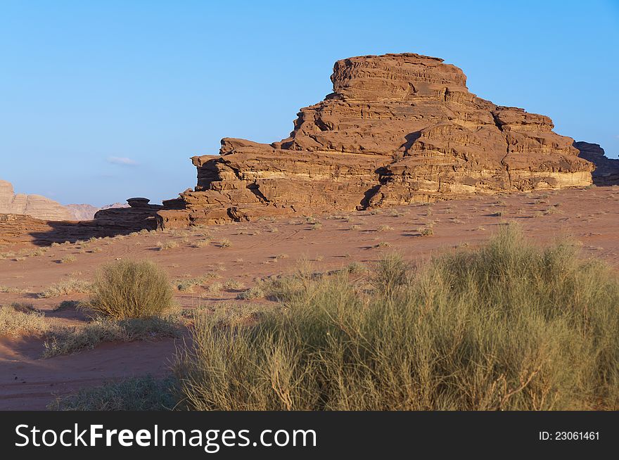 View Of The Desert In The Later After Noon