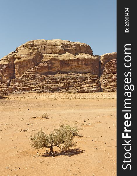 View Of The Desert In The Wadi Rum