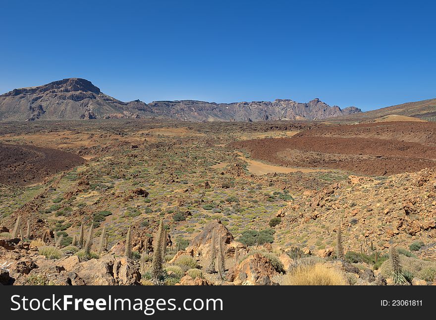 Volcanic desert landscape, National Park of Las Canadas of Teide, island Tenerife.