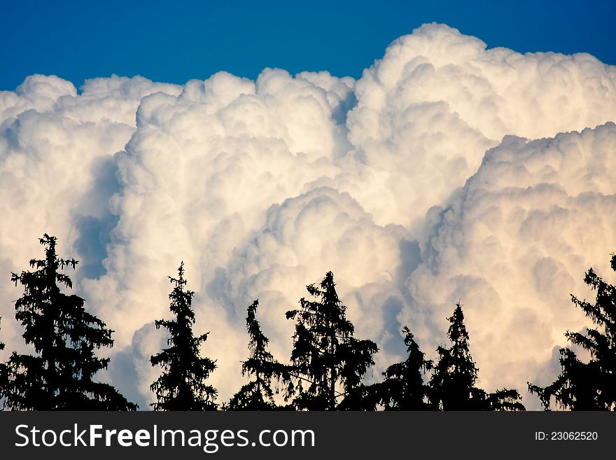 Huge white clouds above tree tops