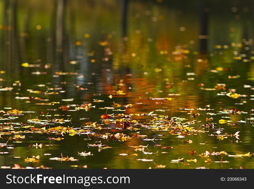 Autumn foliage reflection in lake