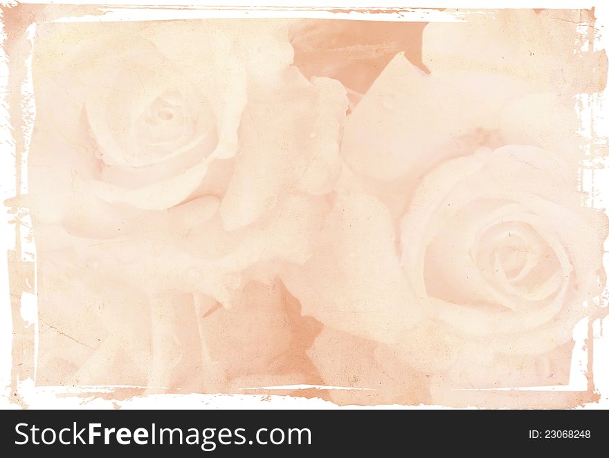 Delicate roses on grunge background. Texture and color processing.