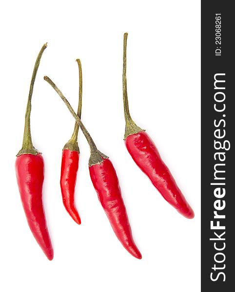 Fresh Red Chilli