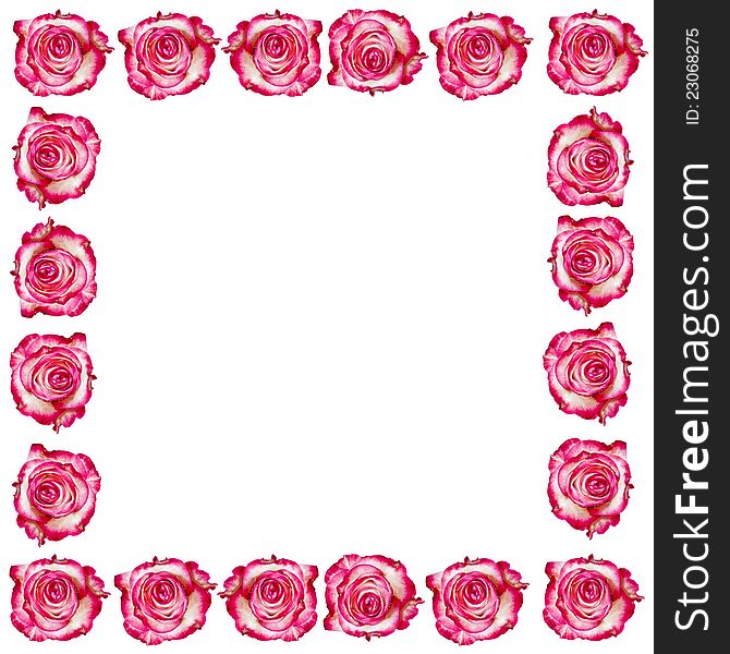 Creative frame made from roses. Abstract background. Creative frame made from roses. Abstract background