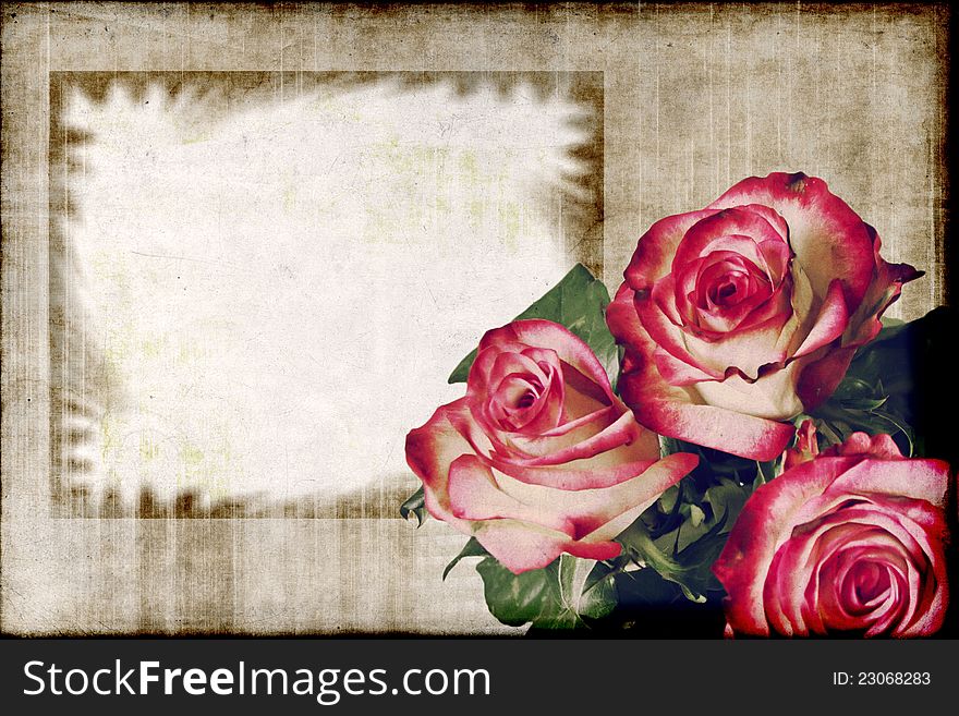 Roses on grunge background. Texture and color processing.