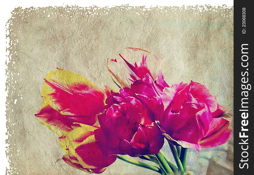 A shot of an image of tulips. Grunge background. A shot of an image of tulips. Grunge background.