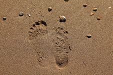 Two Different Footprints On Sand Stock Images Two Different Footprints On Sand Stock Images