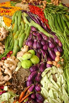 Assortment Of Fresh Vegetables Stock Photography Assortment Of Fresh Vegetables Stock Photography