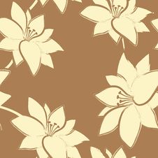 Vector Floral Seamless Pattern. Stock Photos Vector Floral Seamless Pattern. Stock Photos