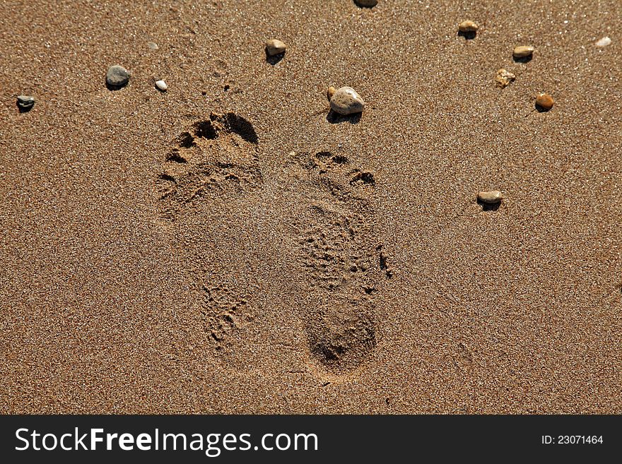 A foot print of a man next to a footprint of a woman on sand. A foot print of a man next to a footprint of a woman on sand
