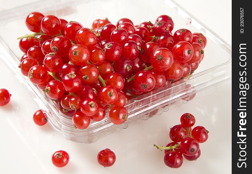 Fresh red currants photographed in plastic container on white background