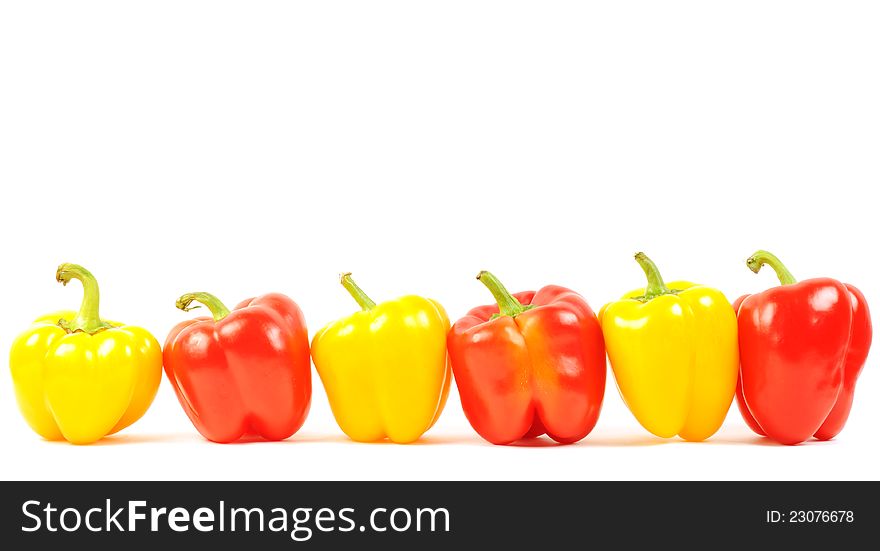 Red and yellow paprika peppers line on a white background