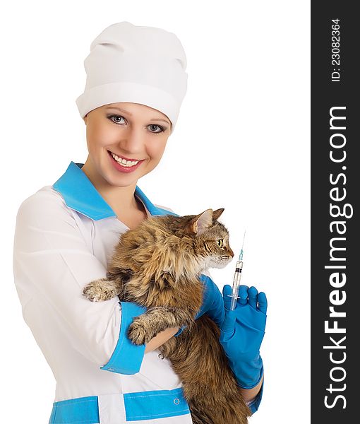 Veterinarian holding a cat and a syringe on a white background