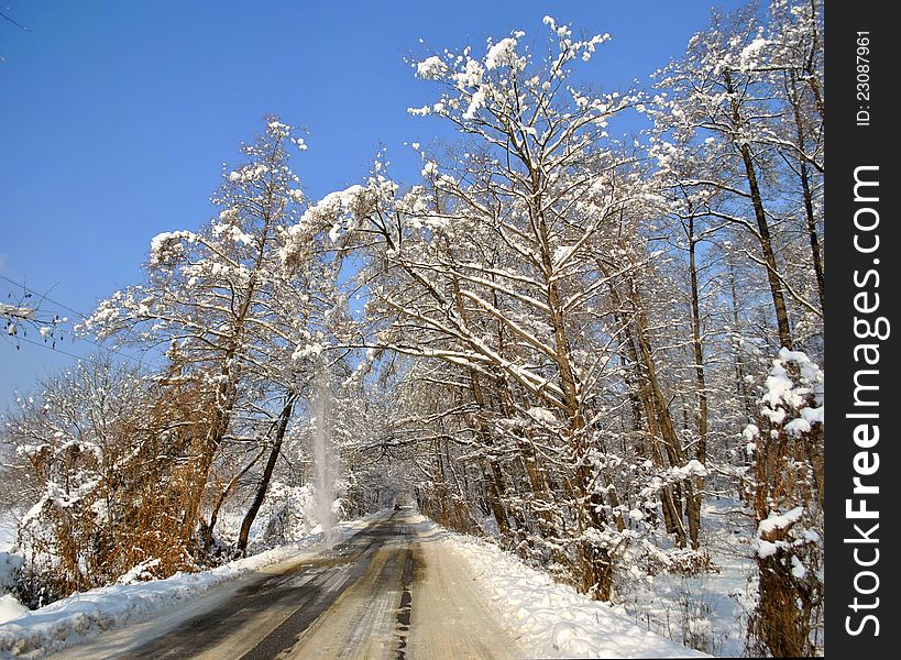 Image of a single car on a snowed road under snowed trees. Image of a single car on a snowed road under snowed trees