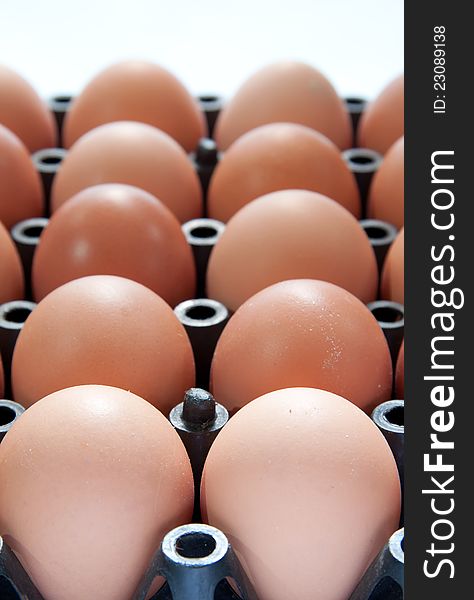 Close Up Of Eggs In Plastic Container