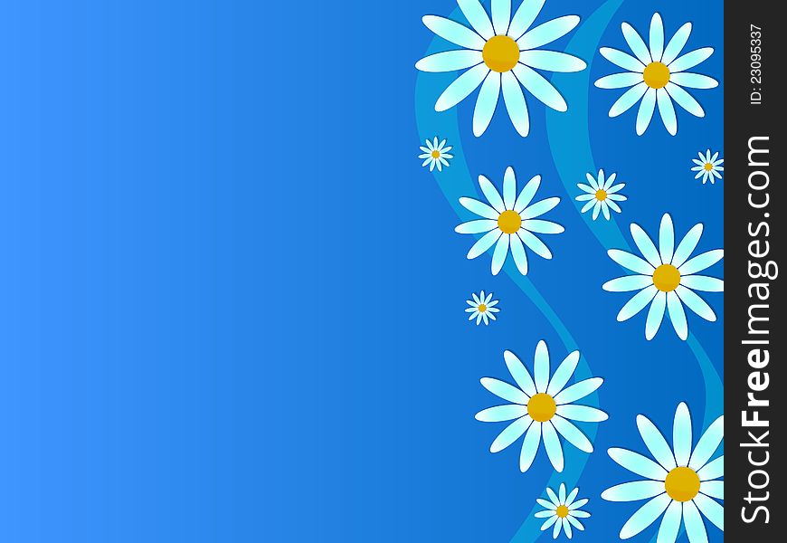 White camomiles on a blue background. White camomiles on a blue background