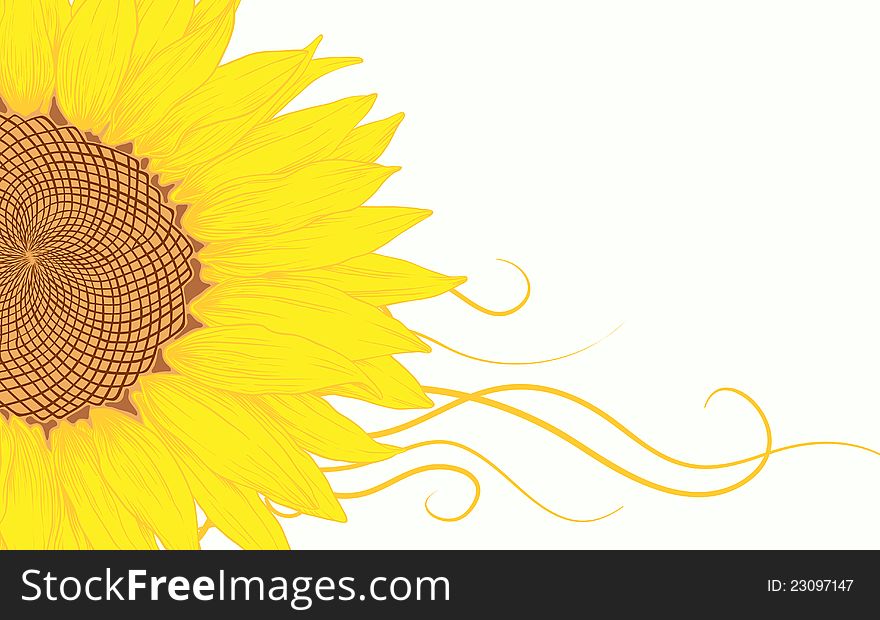 Vector illustration with sunflower for greeting card. Vector illustration with sunflower for greeting card.