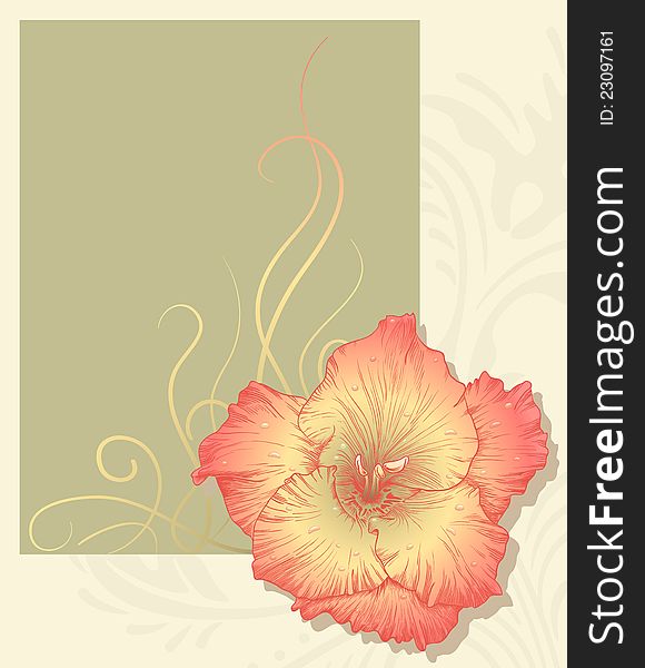 Vector illustration with flower for greeting card. Vector illustration with flower for greeting card.