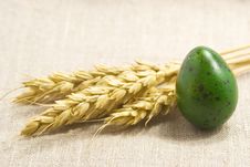 Wheat Ears And Green Egg Stock Image Wheat Ears And Green Egg Stock Image