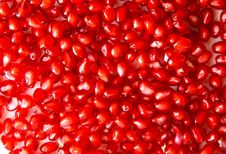 Grains Of Pomegranate Stock Photos Grains Of Pomegranate Stock Photos
