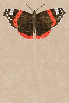 Red Admiral Royalty Free Stock Images Red Admiral Royalty Free Stock Images