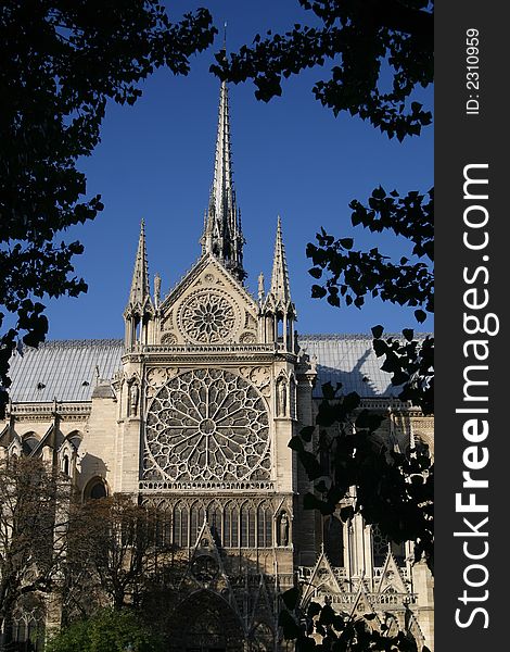 Notre Dame Cathedral framed by trees. Notre Dame Cathedral framed by trees