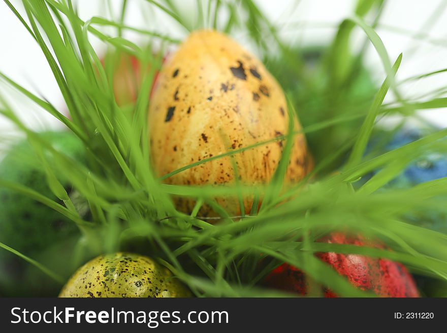 Easter eggs hiding in green grass. Easter eggs hiding in green grass