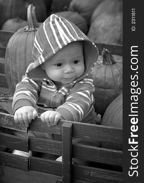 Black and white image of a cute baby sitting in a wagon surrounded by pumpkins. Black and white image of a cute baby sitting in a wagon surrounded by pumpkins