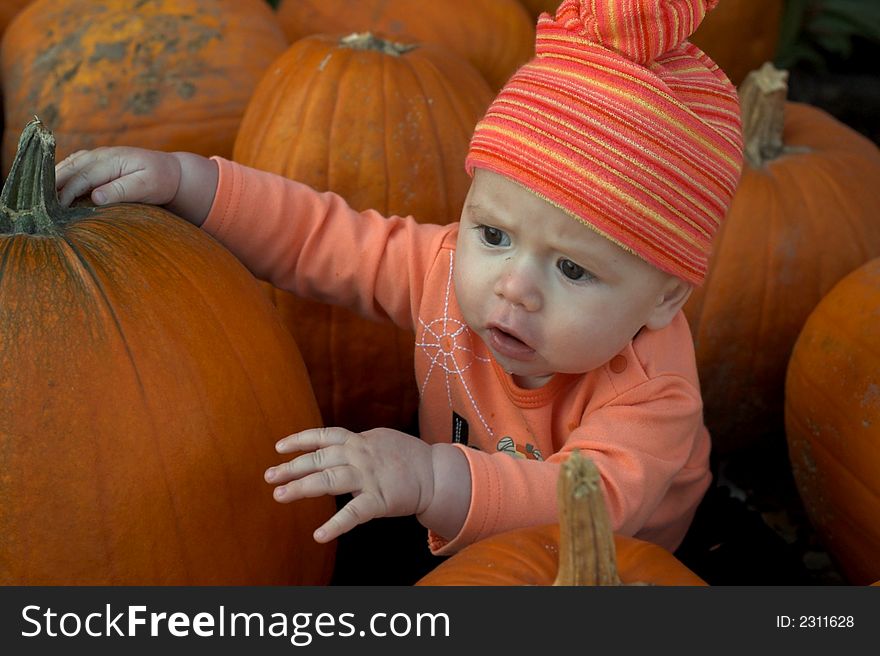 Image of a cute baby surrounded by pumpkins. Image of a cute baby surrounded by pumpkins