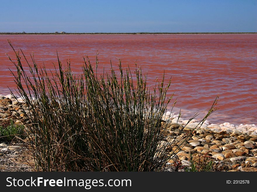 Salt area in sea the coast French south, Camargue