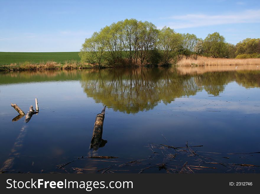 Pond with reflection