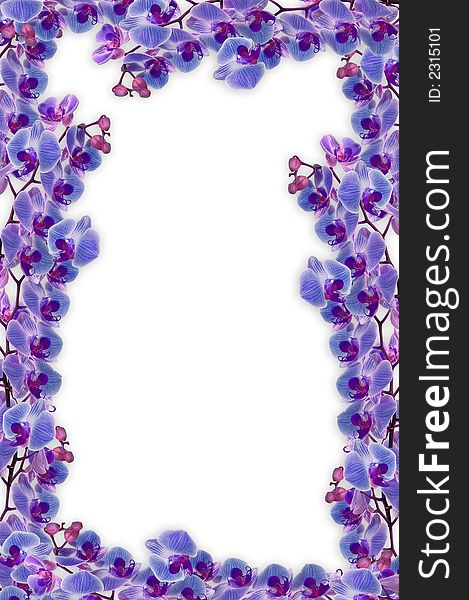 Beautifull orchids frame for love, romance or any other concept. Beautifull orchids frame for love, romance or any other concept