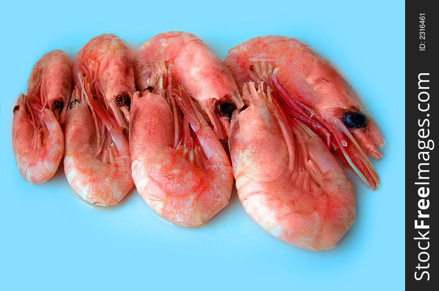 still life from prawns on turn blue background