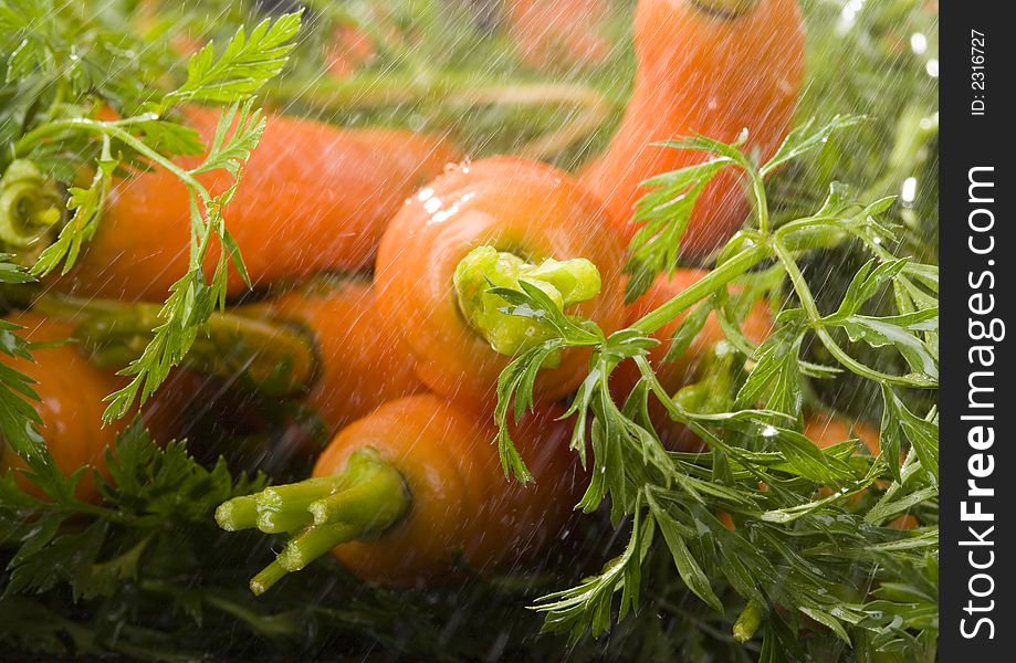 The carrot is a root vegetable, typically orange or white in colour with a woody texture. The carrot is a root vegetable, typically orange or white in colour with a woody texture.