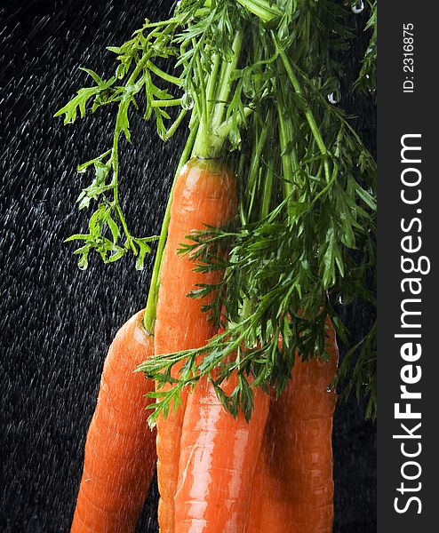 The carrot is a root vegetable, typically orange or white in colour with a woody texture. The carrot is a root vegetable, typically orange or white in colour with a woody texture.