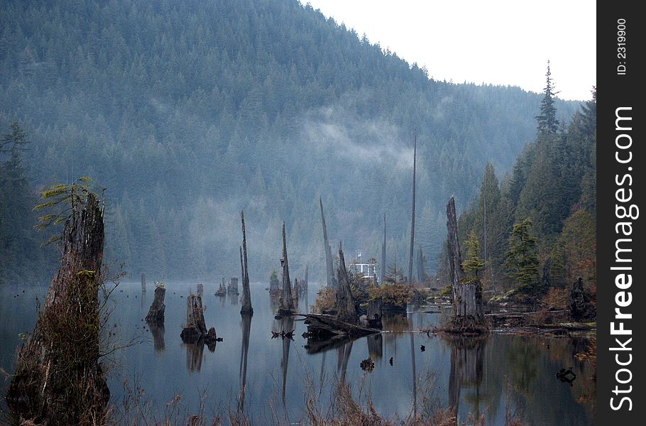 Beautiful reflective lake in BC (Bunzen Lake). Beautiful reflective lake in BC (Bunzen Lake)