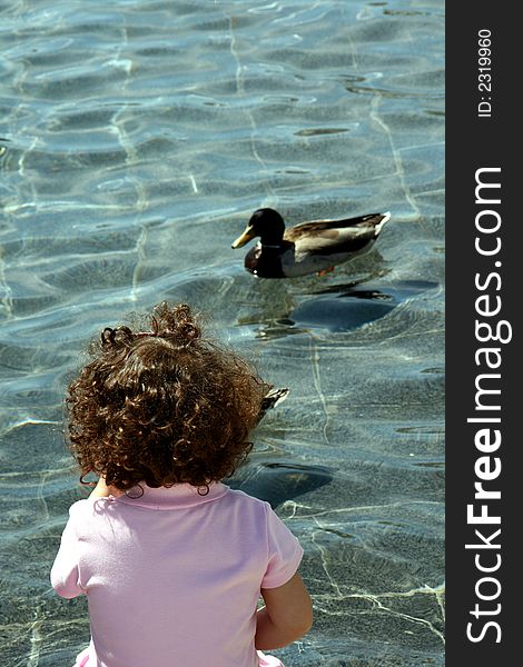 Little girl watching duck floating on pond. Little girl watching duck floating on pond