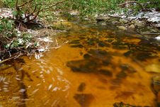 Natural Tannin Colored Stream In The Mountains Royalty Free Stock Photography Natural Tannin Colored Stream In The Mountains Royalty Free Stock Photography