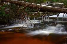 Natural Tannin Colored Stream In The Mountains Stock Photography Natural Tannin Colored Stream In The Mountains Stock Photography