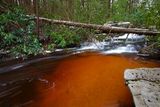 Natural Tannin Colored Stream In The Mountains Royalty Free Stock Images Natural Tannin Colored Stream In The Mountains Royalty Free Stock Images