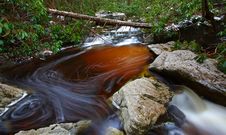 Natural Tannin Colored Stream In The Mountains Royalty Free Stock Images Natural Tannin Colored Stream In The Mountains Royalty Free Stock Images